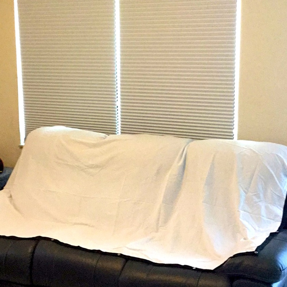 Projector Screen